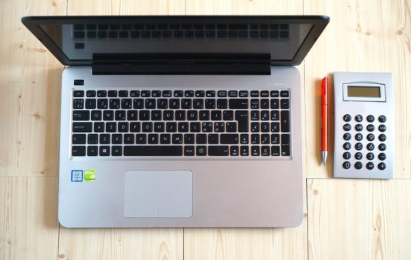 primavera starter contabilidade inovflow