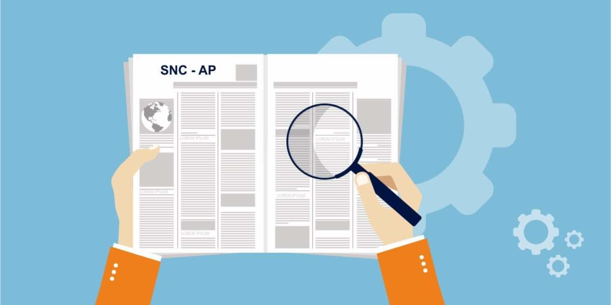 SNC-AP: COMO GARANTIR UMA ADAPTAÇÃO SIMPLES E ÁGIL