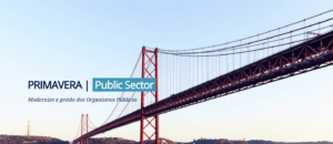 PRIMAVERA Public Sector